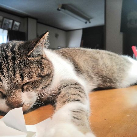 Tiny Guesthouse Umekoji 梅小路 เกียวโต ภายนอก รูปภาพ