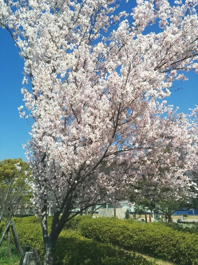 Tiny Guesthouse Umekoji 梅小路 เกียวโต ภายนอก รูปภาพ
